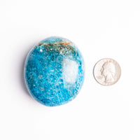 Apatite, Blue - Palm