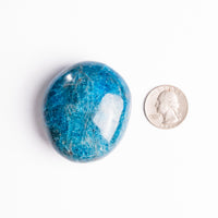 Apatite, Blue - Palm