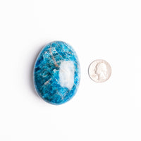 Apatite, Blue - Palm