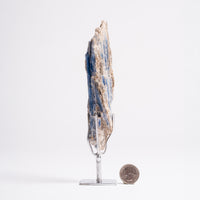 Kyanite, Blue- On Stand