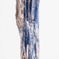 Kyanite, Blue- On Stand