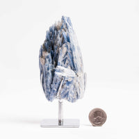 Kyanite, Blue- On Stand