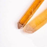 Citrine - Singing Pairs