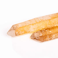 Citrine - Singing Pairs