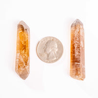 Citrine - Singing Pairs