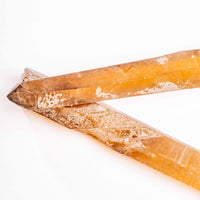 Citrine - Singing Pairs