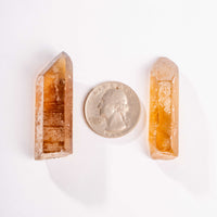 Citrine - Singing Pairs