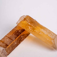 Citrine - Singing Pairs