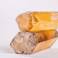 Citrine - Singing Pairs