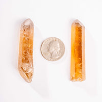 Citrine - Singing Pairs