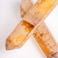 Citrine - Singing Pairs