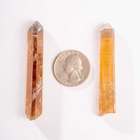 Citrine - Singing Pairs