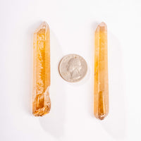 Citrine - Singing Pairs