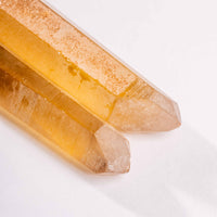 Citrine - Singing Pairs
