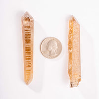 Citrine - Singing Pairs