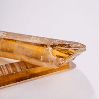 Citrine - Singing Pairs