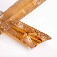 Citrine - Singing Pairs