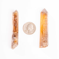 Citrine - Singing Pairs