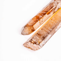 Citrine - Singing Pairs