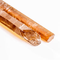 Citrine - Singing Pairs
