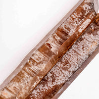 Citrine - Singing Pairs