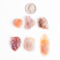 Agate - Gobi Desert - Small, Intuitive Picks