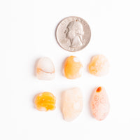 Agate - Gobi Desert - Small, Intuitive Picks