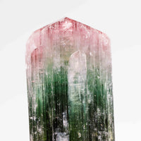 Bi-Color Tourmaline
