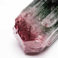 Bi-Color Tourmaline