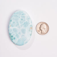 Larimar- Palm