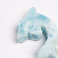 Larimar- Dolphin