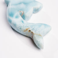 Larimar- Dolphin