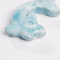 Larimar- Dolphin