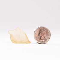 Libyan Desert Glass