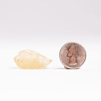 Libyan Desert Glass