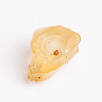 Libyan Desert Glass