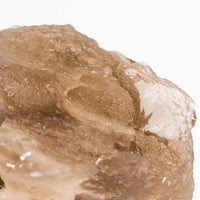 Libyan Desert Glass- Large