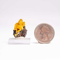 Mimetite