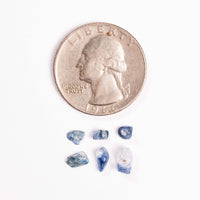 Benitoite- Chip Bags