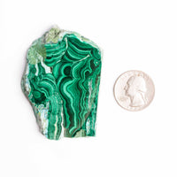 Malachite - Polished Slab