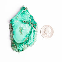 Malachite - Polished Slab