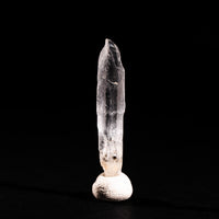 Nifontovite