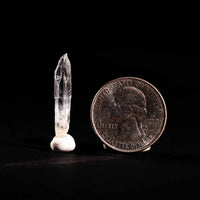Nifontovite
