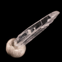 Nifontovite