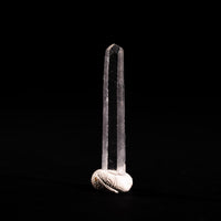 Nifontovite