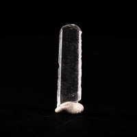 Nifontovite