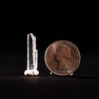 Nifontovite