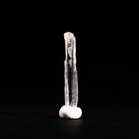 Nifontovite