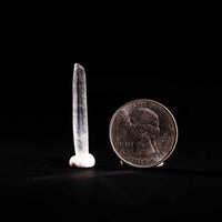 Nifontovite