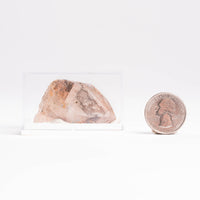Papagoite and Ajoite in Quartz- Cluster